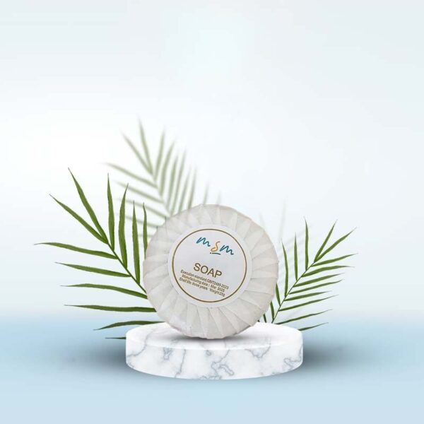 Soap Bar (25 gms)